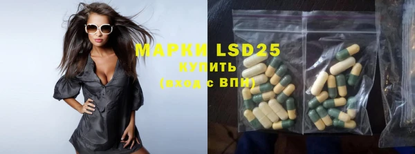 прущие грибы Алексин