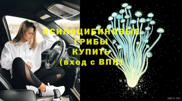 прущие грибы Алексин