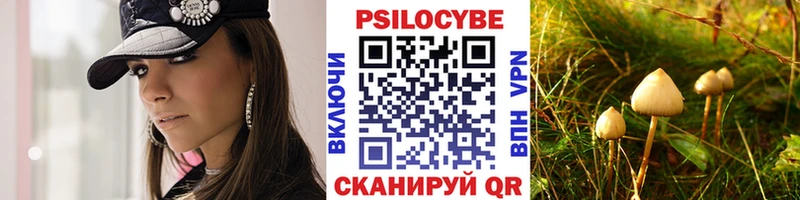 Псилоцибиновые грибы Psilocybine cubensis  Ступино 